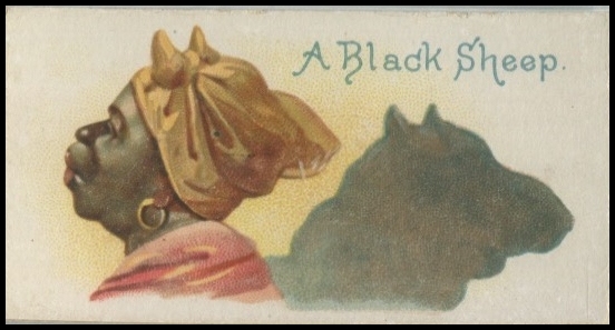 A Black Sheep